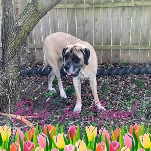 Meet your Posher, Shelley